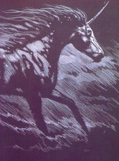 N49.jpg (383x518, 67Kb)