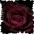 177069.jpg (120x119, 17Kb)