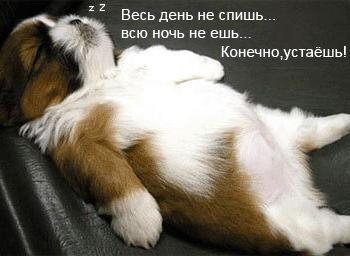 3502105_ves_den_vsyu_noch.jpeg (350x256, 59Kb)
