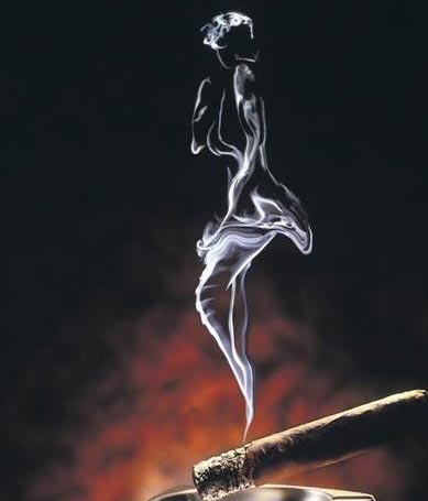 5039769_472240VAHa.jpg (389x455, 15Kb)