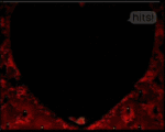 .gif (150x120, 87Kb)