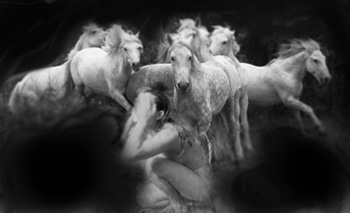 whitehorse3.jpg (360x213, 18Kb)
