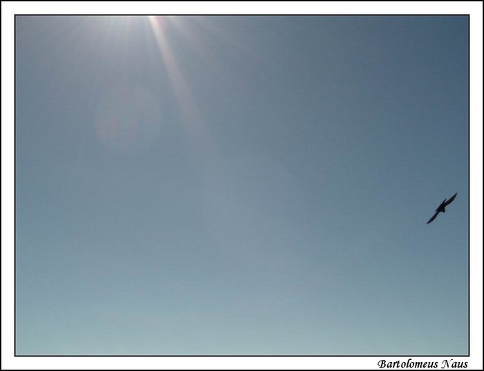 333346.jpg (700x536, 29Kb)