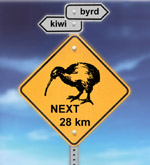 kiwi_cover.jpg (150x165, 10Kb)