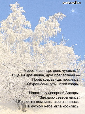 pyssshkin2.jpg (300x400, 56Kb)