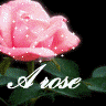 rose.gif (96x96, 23Kb)