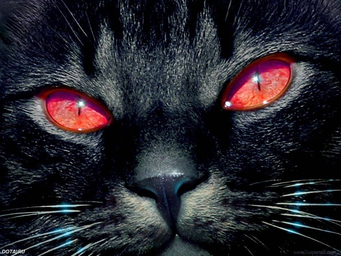 juju.JPG (700x525, 301Kb)