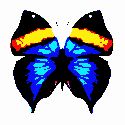 Animation1.gif (125x125, 659Kb)