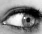 3642459[1].gif (85x68, 37Kb)
