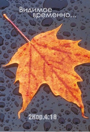 5026666_43.jpg (298x439, 38Kb)