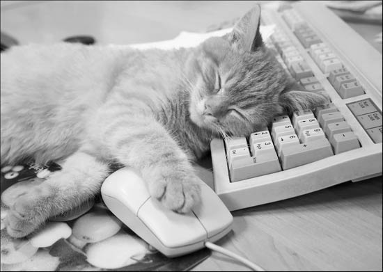 4852.jpg (550x391, 29Kb)