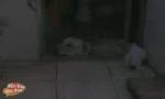 test.jpg (150x90, 1Kb)