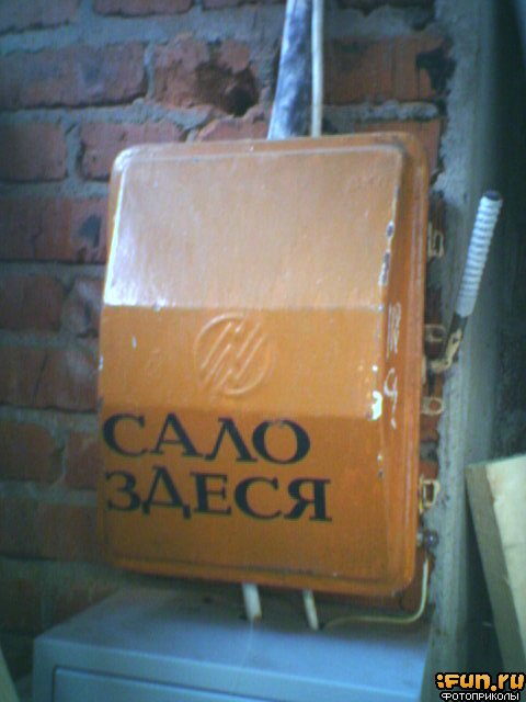 zCZwG9ha42.jpg (480x640, 44Kb)