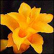 3546298_356.jpg (110x110, 3Kb)