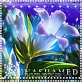 5612261_5344330_29.jpg (120x120, 27Kb)