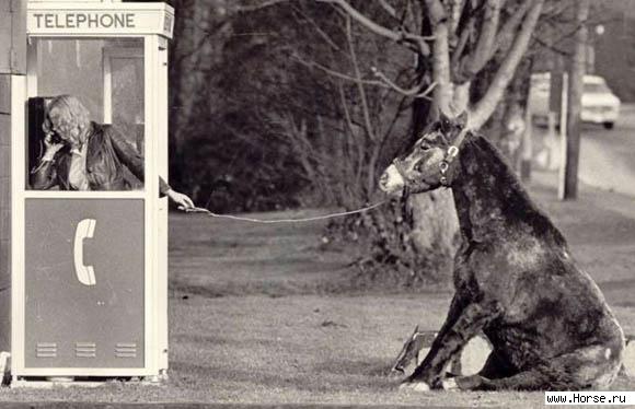 1299-19811[1].jpg (580x374, 39Kb)