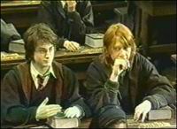 harry_ron_class.jpg (200x146, 8Kb)