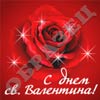 6842_87022774343eb1f59d7274.jpg (100x100, 6Kb)