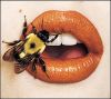 lips21.jpg (100x89, 3Kb)