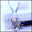 00000048.jpg (110x110, 8Kb)