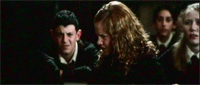 _herm11.gif (200x85, 333Kb)
