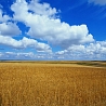 12471_prev_98.jpg (98x98, 11Kb)