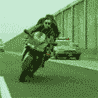 13775_prev_98.gif (98x98, 24Kb)
