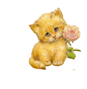 5437696_rtyyyu.gif (175x180, 10Kb)