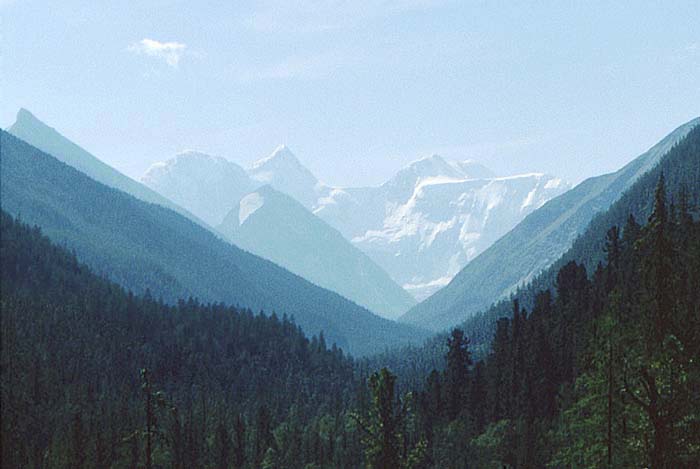Beluha1.jpg (700x469, 44Kb)