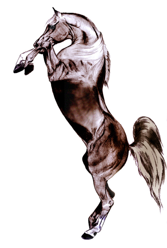 arabian.jpg (540x800, 96Kb)