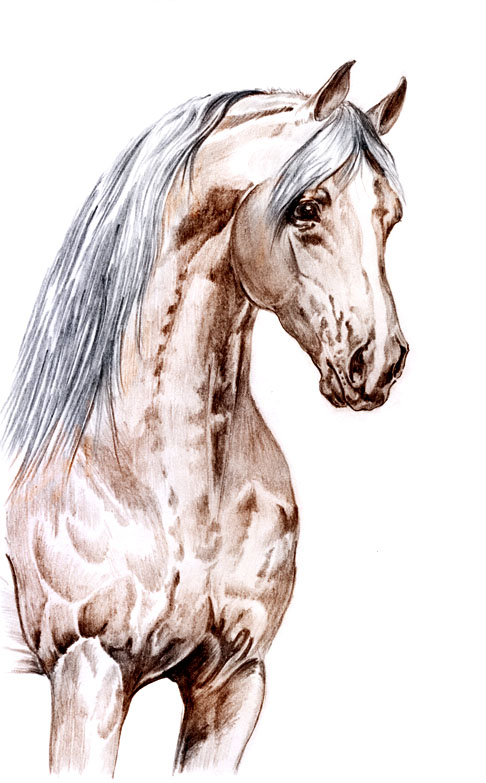 valejo1.jpg (486x783, 89Kb)