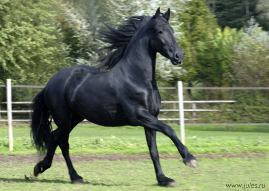 .jpg (547x388, 124Kb)