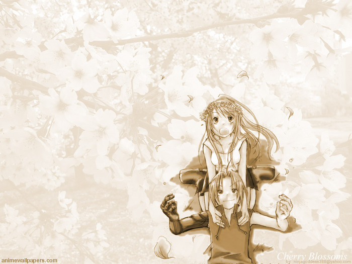 fullalchemist_2_1024.jpg (700x525, 101Kb)