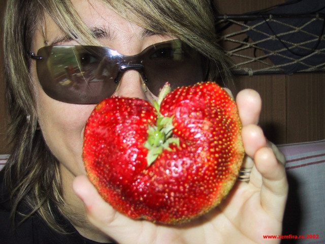 7.jpg (640x480, 80Kb)