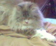 050509_150332.jpg (116x96, 6Kb)