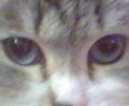 050509_150437.jpg (116x96, 6Kb)