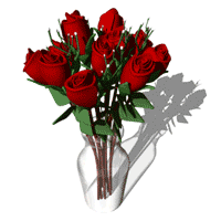 image005.gif (200x200, 71Kb)