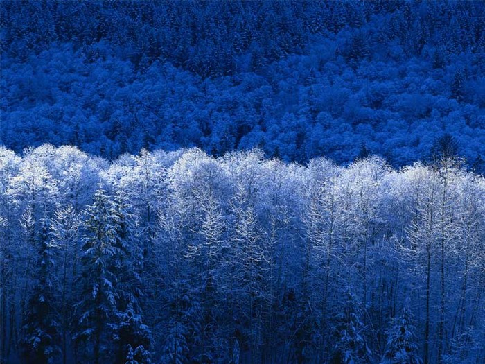 .jpg (700x525, 146Kb)