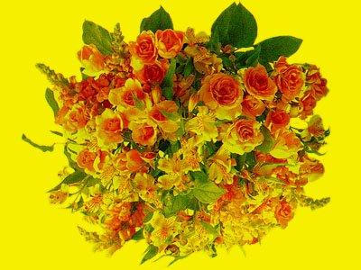 f083.jpg (400x300, 26Kb)