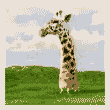 15408628274167a34994efa3iy[1].gif (110x110, 35Kb)