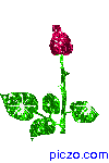 5531204_5486576_raspuskayuschayasya_roza.gif (100x150, 18Kb)