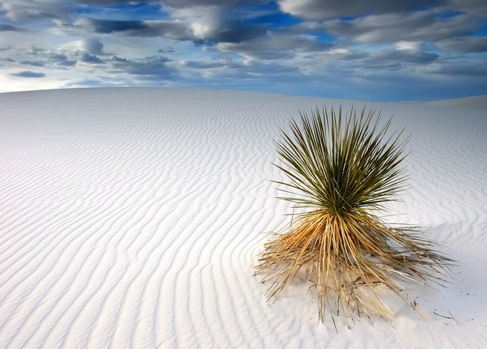 Castle on the Sand.jpg (699x500, 88Kb)