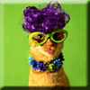18cat.gif (100x100, 6Kb)
