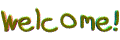3.gif (120x40, 13Kb)