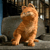 8.gif (100x100, 38Kb)