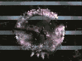 matrix-14.gif (160x120, 436Kb)