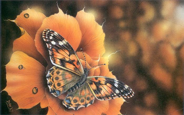 41.jpg (699x437, 59Kb)