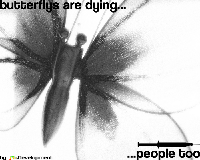 butterfly.jpg (700x560, 244Kb)