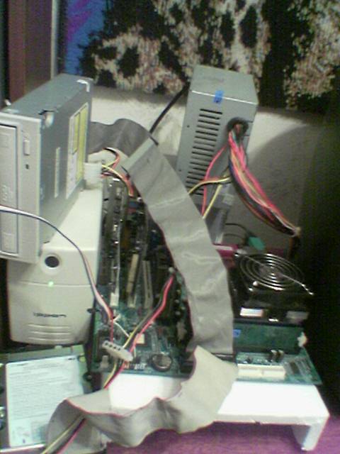 245910_Image.jpg (480x640, 40Kb)