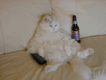 917349_847890.gif (150x113, 70Kb)